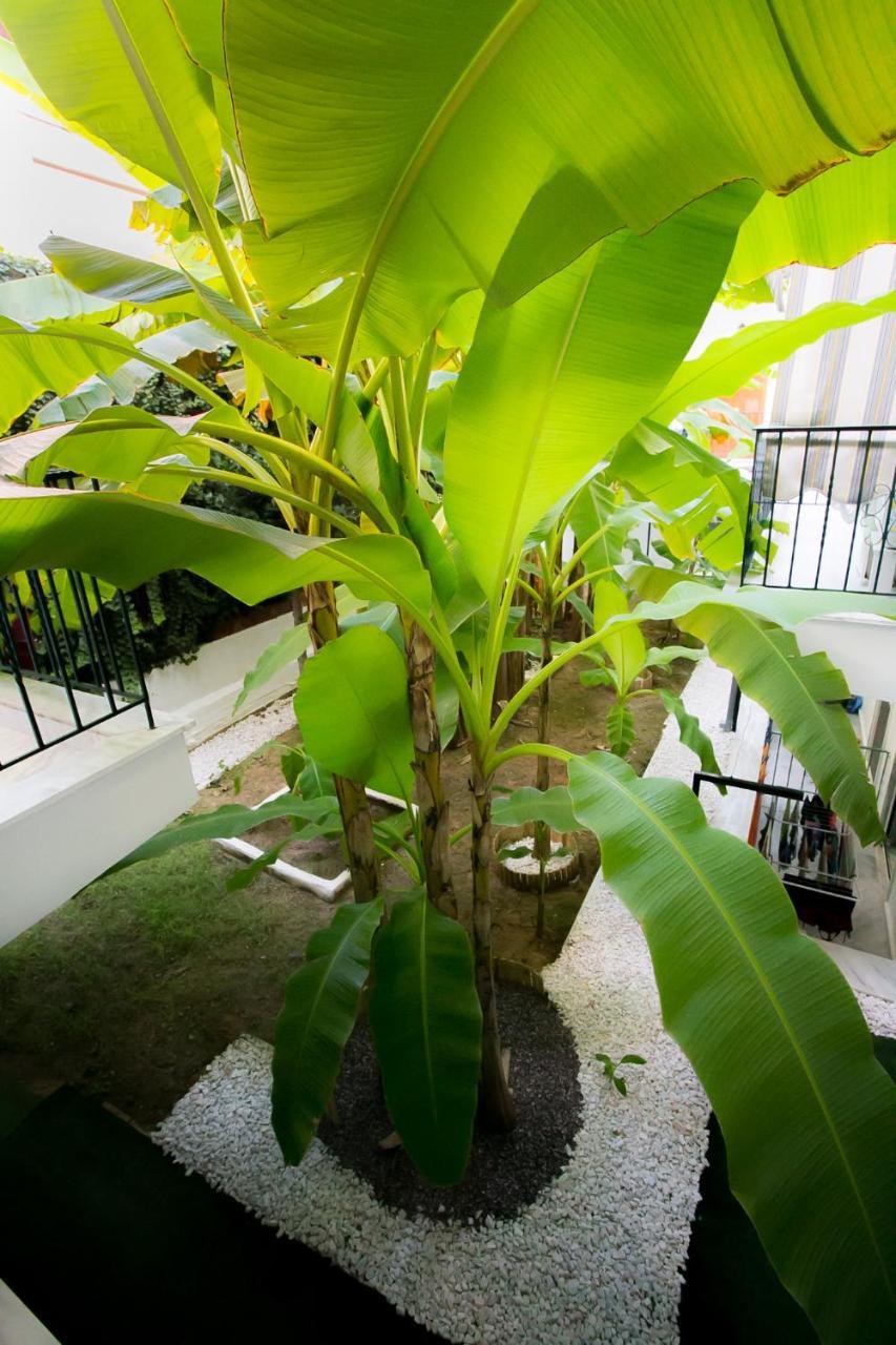 Panorama Apartments Flogita Esterno foto